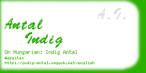 antal indig business card